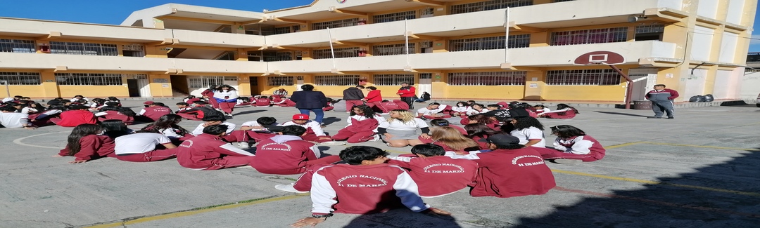 P.G.R. en Acción